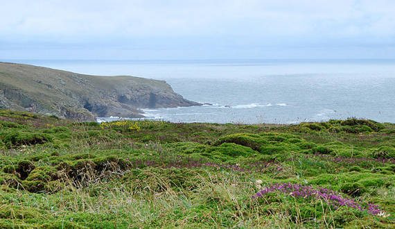 Pointe du Raz
